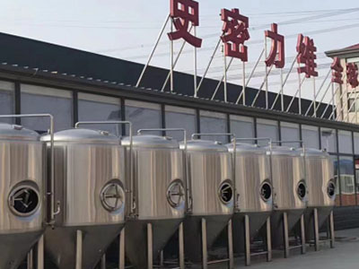 阳春精酿啤酒设备厂—如何判断精酿啤酒设备的密封件需要更换？